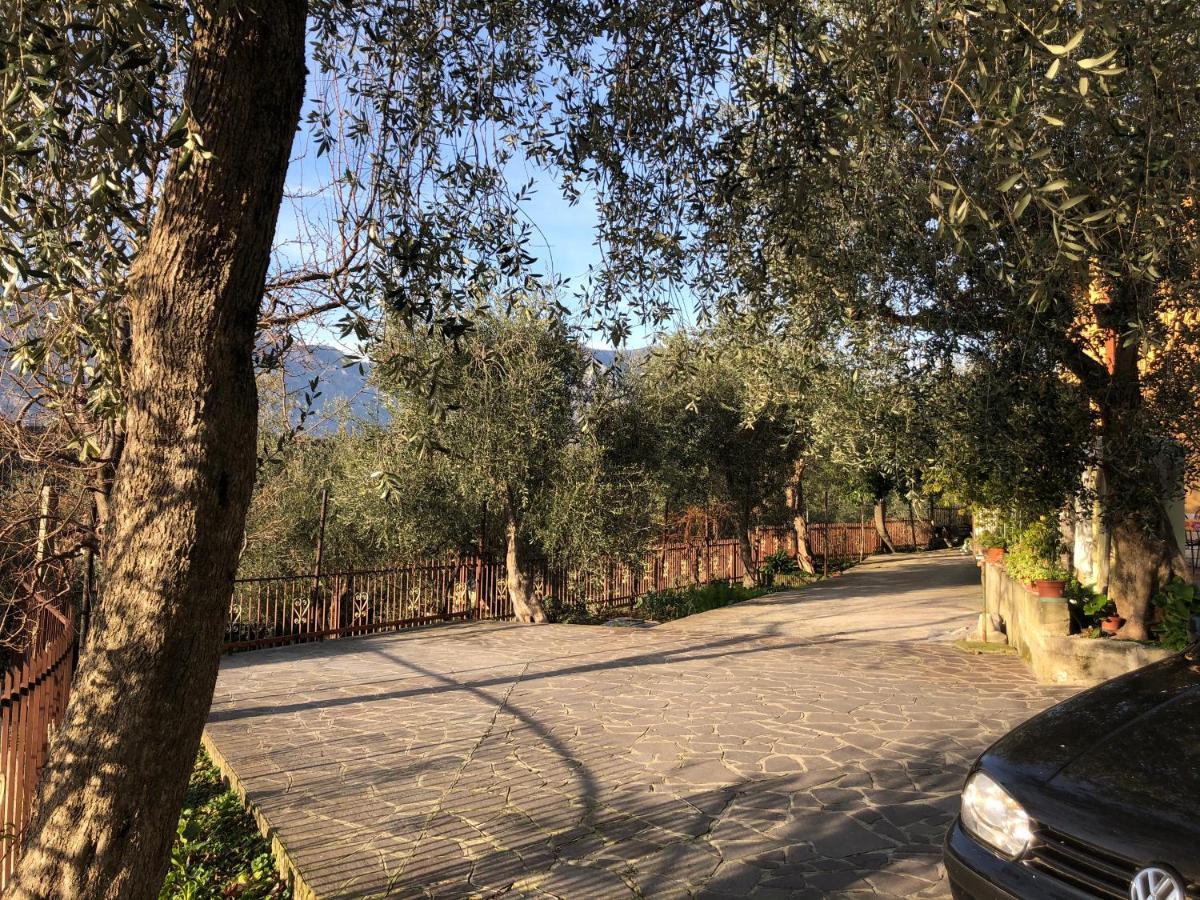 Appartamento Nonna Rosa Μαλτσεζίνε Εξωτερικό φωτογραφία